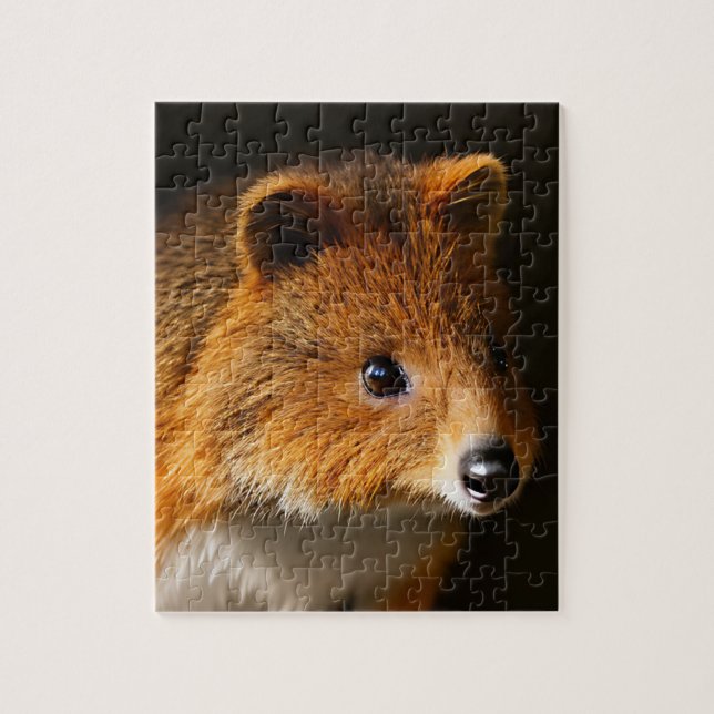 Australisches Quokka Portrait, Jigsaw Puzzle (Vertikal)