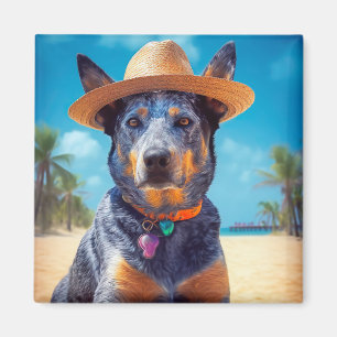 Australisches Rind auf dem Strand, Geschenk für Hu Magnet