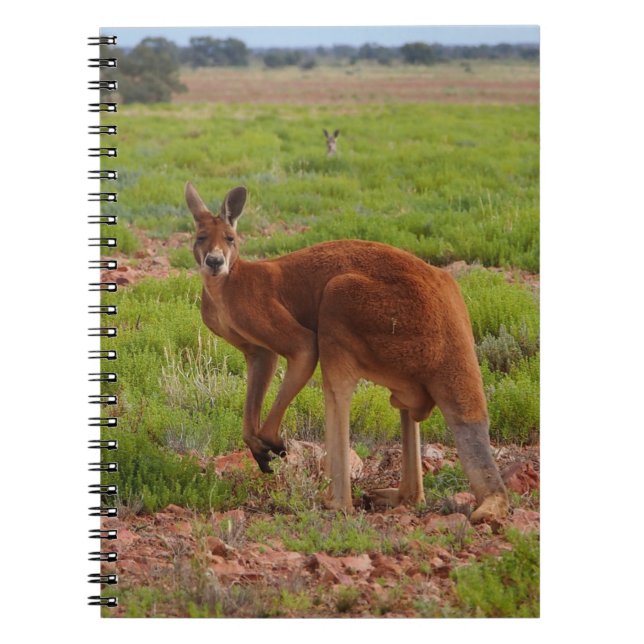 Australisches rotes Kängurunotizbuch Notizblock (Vorderseite)