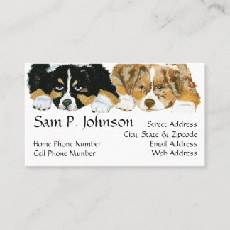 Australisches Schäfer ~ Welpen-Porträt Visitenkarte