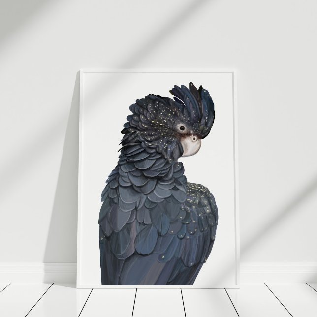Australisches Schwarzes Cockatoo Illustration Post Poster (Australian Black Cockatoo Illustration Poster in white frame.)