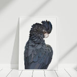 Australisches Schwarzes Cockatoo Illustration Post Poster<br><div class="desc">Das Black Cockatoo Poster Print,  das den neuesten Trends in der Wohngestaltung folgt,  ist ideal,  um Ihre Wände zu erneuern.</div>