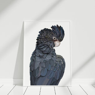 Australisches Schwarzes Cockatoo Illustration Post Poster