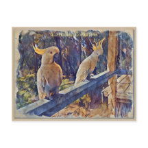 Australisches Schwefelkreuz