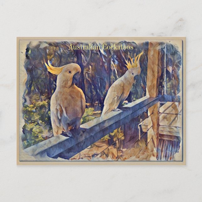 Australisches Schwefelkreuz Postkarte (Vorderseite)