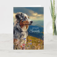 Australisches Shepherd Dog Mountain Pet Beileid