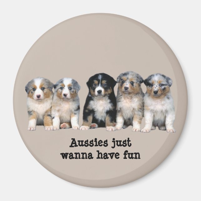 Australisches Shepherd Welppies Magnet (Vorne)