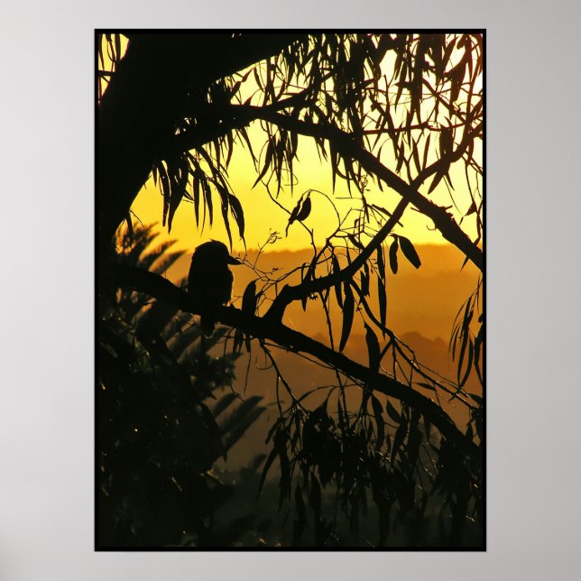 Australisches Solstice Sunset Poster (Vorne)