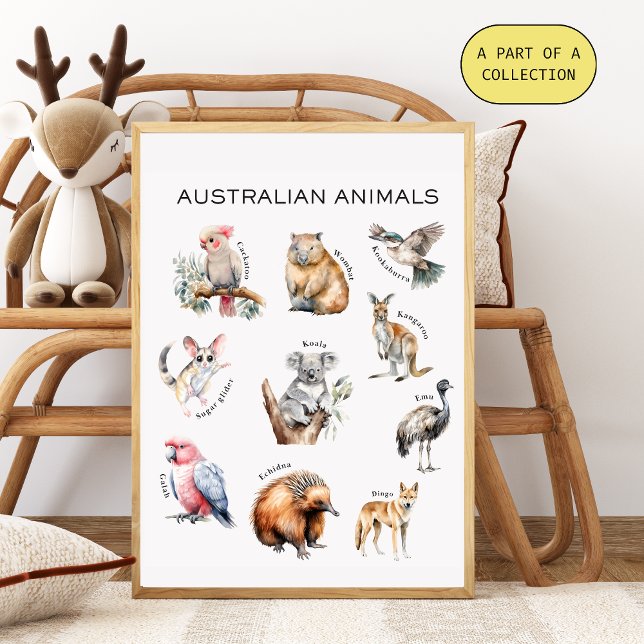 Australisches Tierpädagogik Poster (Von Creator hochgeladen)