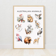 Australisches Tierpädagogik