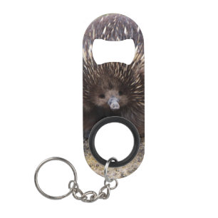 Australisches Wild-Echidna-Foto Schlüsselbund Flaschenöffner