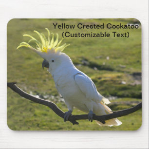 Australisches Yellow Sulfur Crested Cockatoo Mousepad