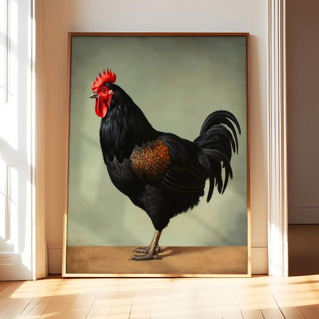 Australorp-Hühner-Kunstposter, Vintage-Vogel  Poster (Von Creator hochgeladen)