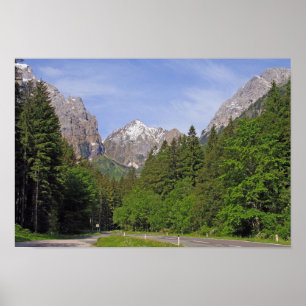 Austrian Alps Poster