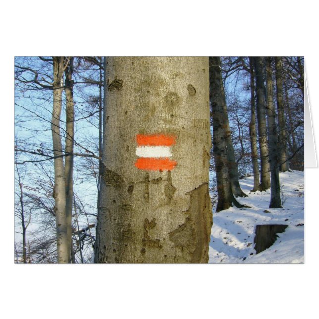 austrische Baumflagge (Vorderseite (Horizontal))