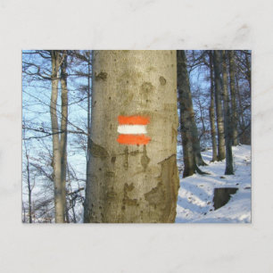 austrische Flagge Postkarte