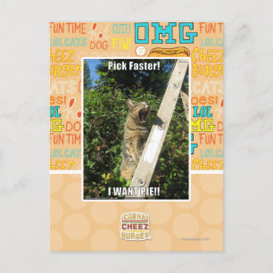 Auswahl schneller! postkarte