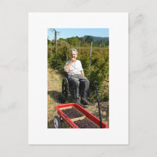 Auswahl von Olalliebeeren in Nordkalifornien Postkarte