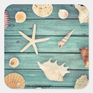 Auswahl von Seashells Quadratischer Aufkleber