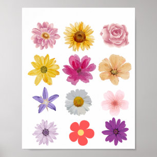 AUSWAHLPOSTER FÜR BLUME POSTER