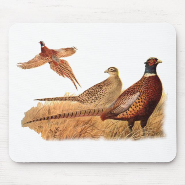 Ausweichende Fasan-Vogel-Jagd Mousepad (Vorne)
