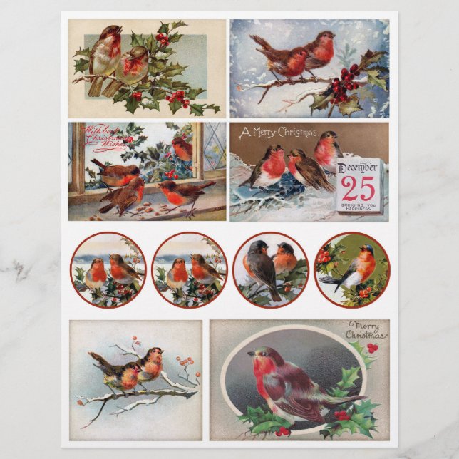 Authentische Viktorianische Postkarten mit Robins (Vorderseite)