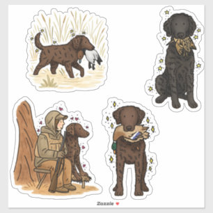 Auto-Aufkleber Lockenhaar-Retriever Aufkleber