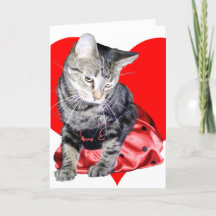 Auto Katzen-"Liebe-Wanze" Valentines Tages… - Feiertagskarte