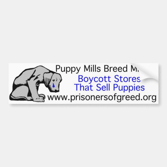 Autoaufkleber (Vorne)