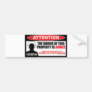 Autoaufkleber "Armed Warning 2. Amendment"