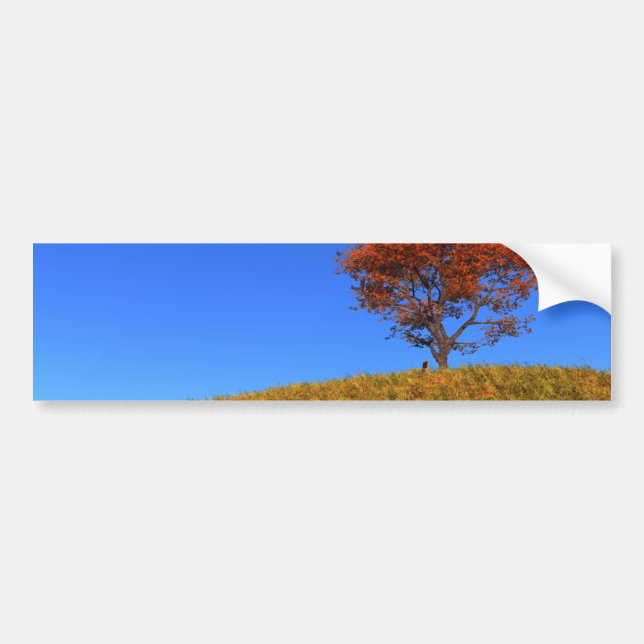 Autoaufkleber des Herbsttages löschen (Vorne)