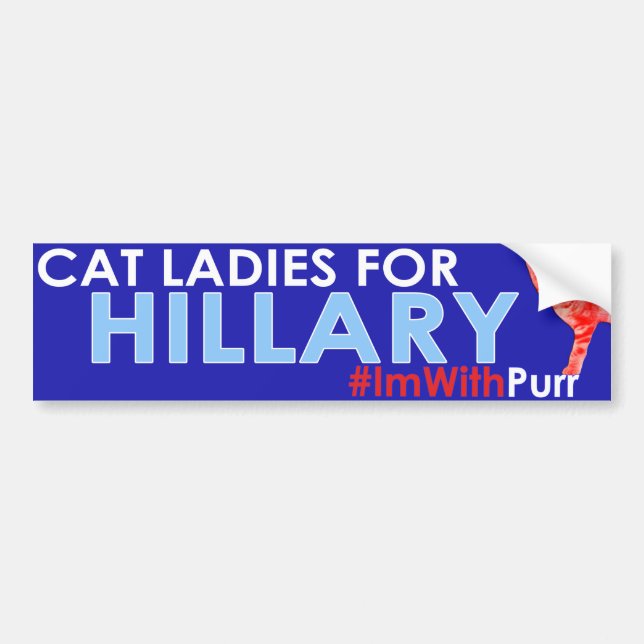 Autoaufkleber #ImWithPurr Katzen-Damen-Pride (Vorne)
