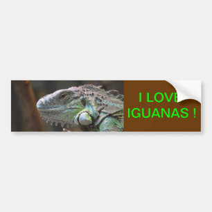 Autoaufkleber mit dem Kopf der Iguana-Eidechse