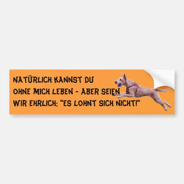 Autoaufkleber "Natürlich kannst du..." (Vorne)