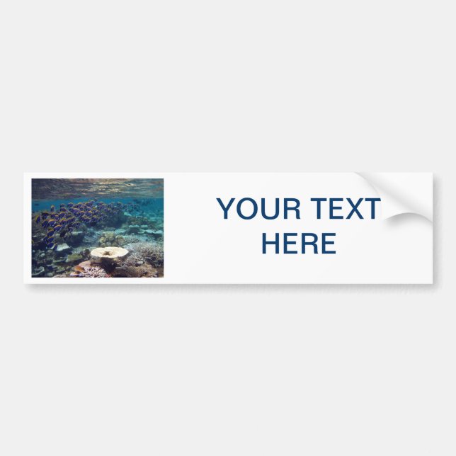 Autoaufkleber - Pulver-Blau-Chirurg-Fisch (Vorne)