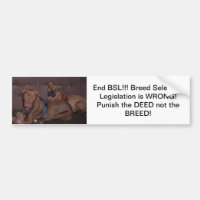 Autoaufkleberende BSL