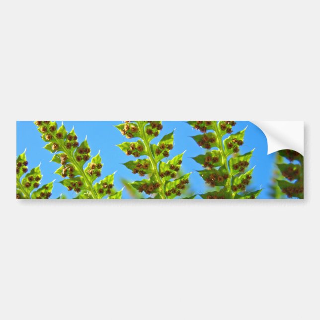 Autoaufklebers Blue Sky Green Forest Ferns Autoaufkleber (Vorne)