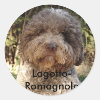 autocollant, Lagotto-Romagnolo Runder Aufkleber