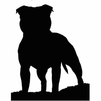 Automagnet Fotoskulptur Magnet