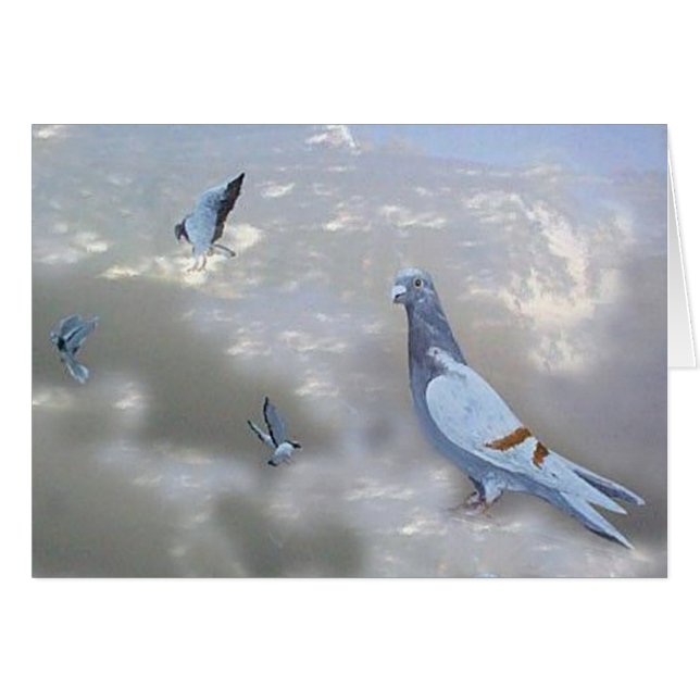 Automatisch ansteuernde Pidgeons Vogel-Karte (Vorderseite (Horizontal))