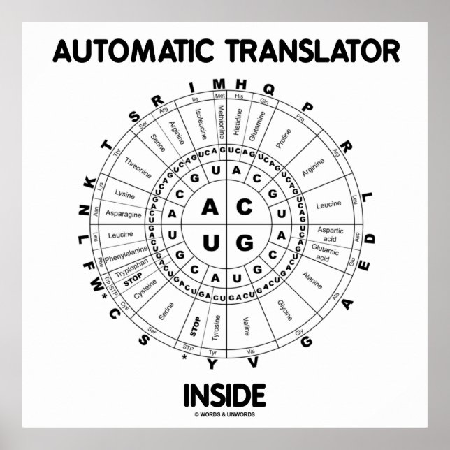 Automatischer Translator Inside (RNA Codon Wheel) Poster (Vorne)
