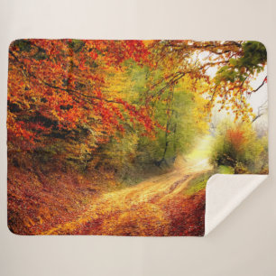 AUTUM PATH IN DEN WOODS SHERPADECKE