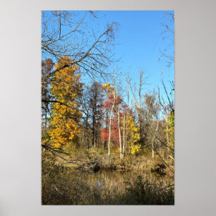 Autum Reflections on Creek Poster
