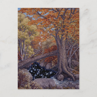 Autum Spring Postkarte