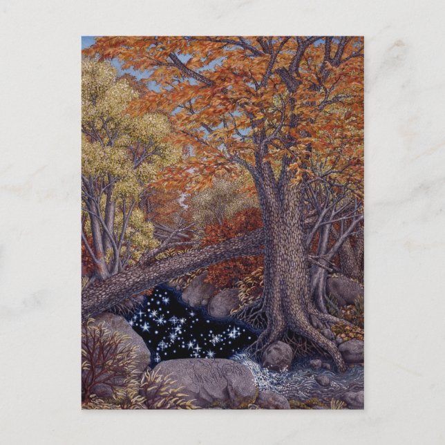 Autum Spring Postkarte (Vorderseite)