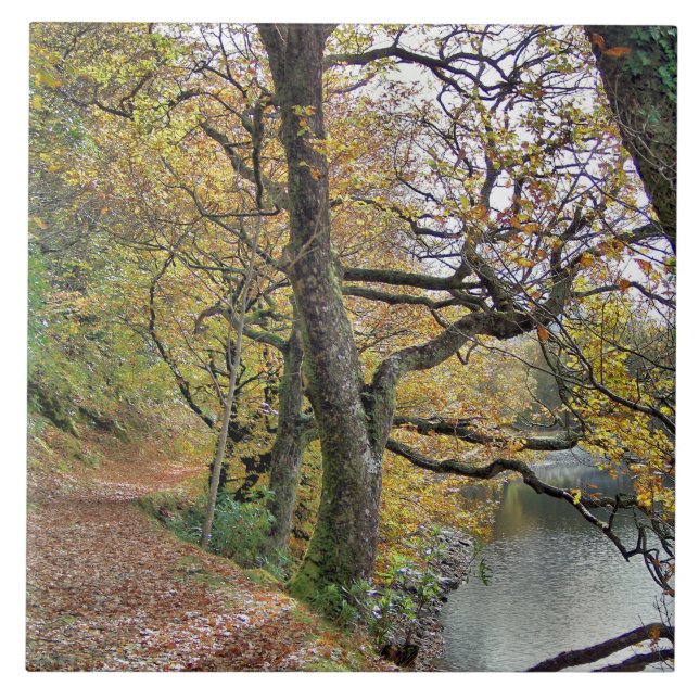 AUTUMMER AM SEE FLIESE (Vorderseite)