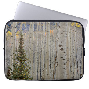 Autumn Aspen Groves   Colorado Rocky Mountains Laptopschutzhülle