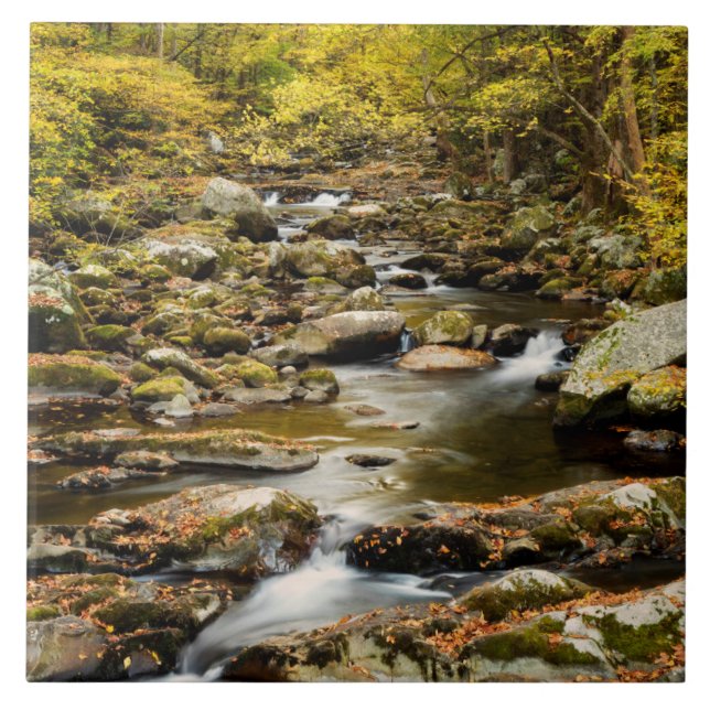 Autumn at Big Creek Fliese (Vorderseite)
