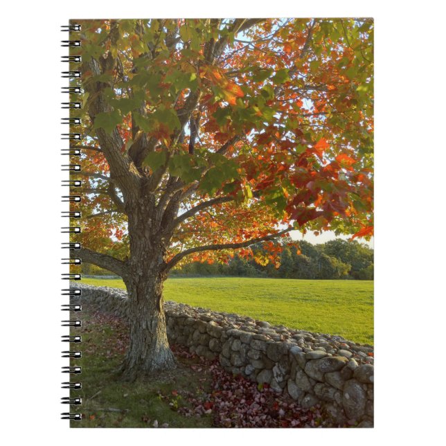 Autumn at Stone Wall Spiral Notebook Notizblock (Vorderseite)