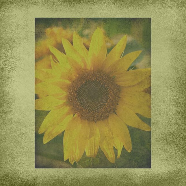 Autumn Aura Sunflower Scrapbook Paper (Von Creator hochgeladen)